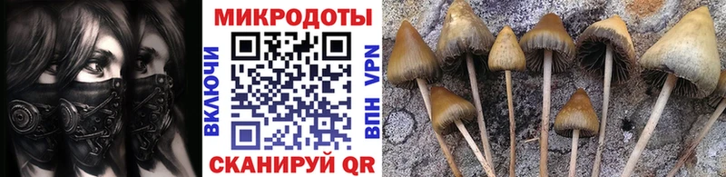 Купить закладки  Ессентуки  Галлюциногенные грибы MAGIC MUSHROOMS 