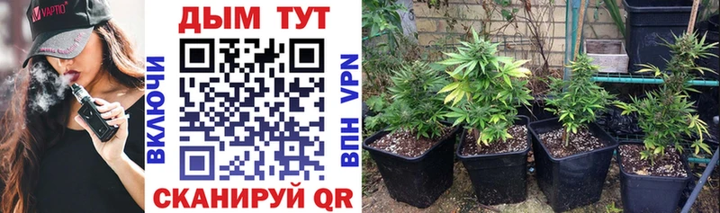 Каннабис LSD WEED  Купить закладки  Ессентуки 